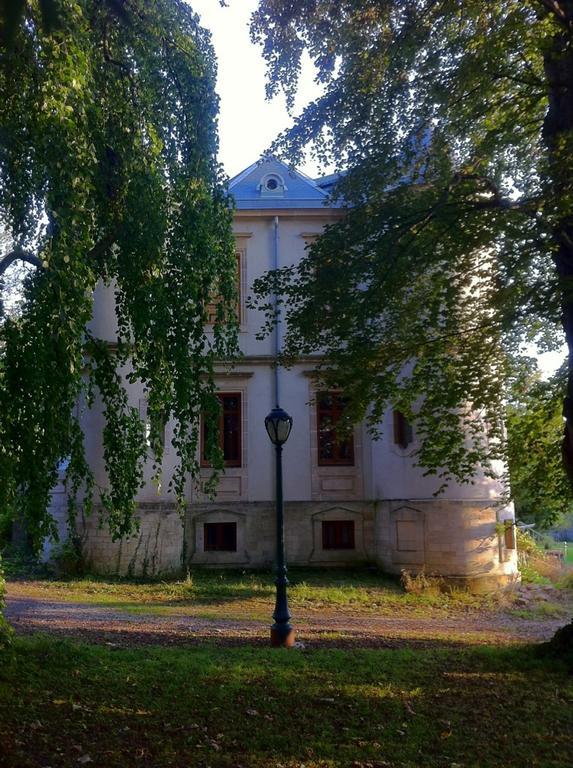 Bed and breakfast Le Château De Conde En Barrois Chambre photo